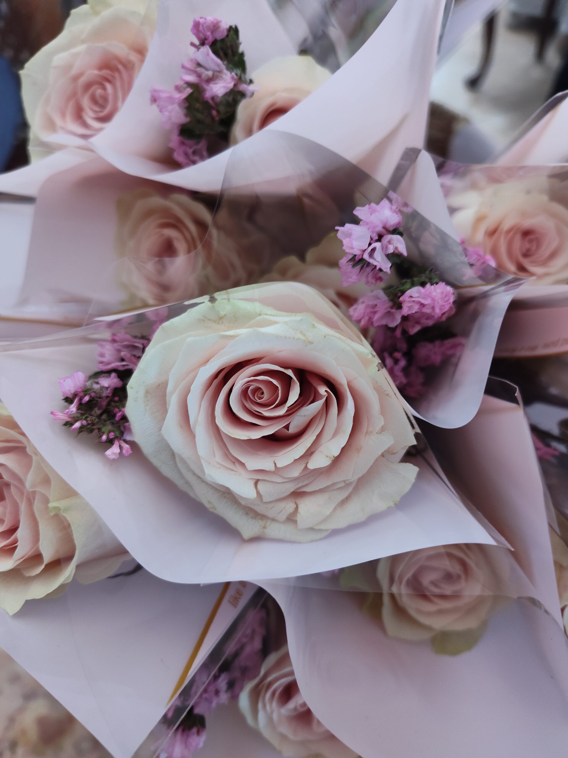 Individually wrapped pink roses